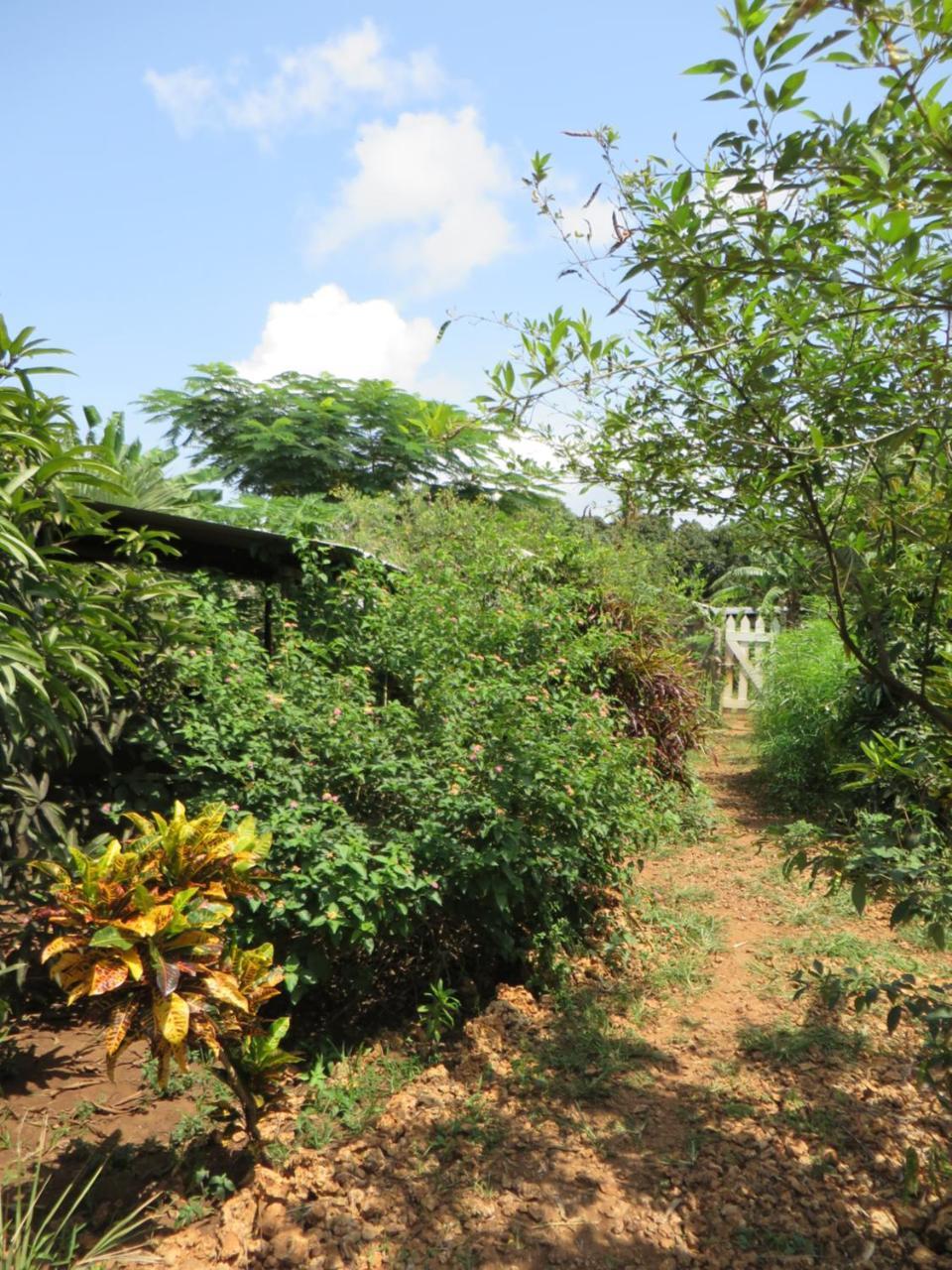 Bahati Diani House Glamping Diani Beach Exteriör bild