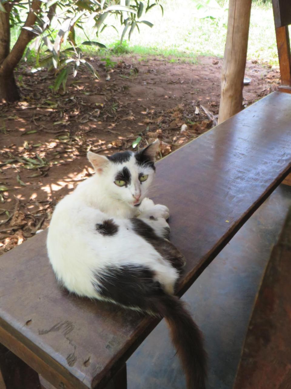 Bahati Diani House Glamping Diani Beach Exteriör bild