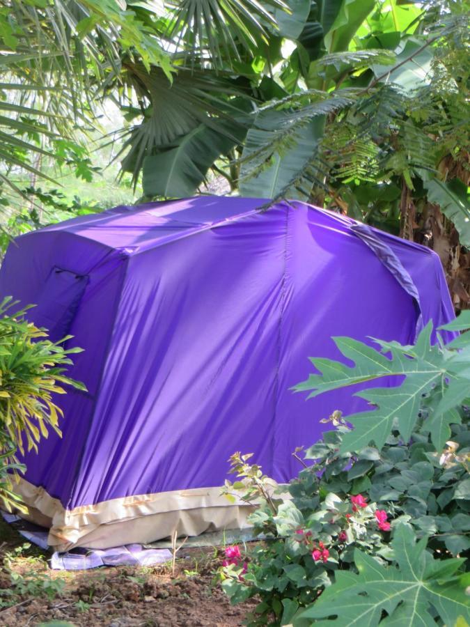 Bahati Diani House Glamping Diani Beach Exteriör bild